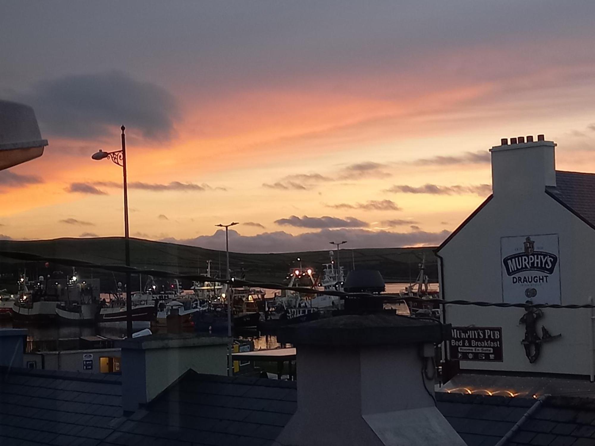 Baywatch Inn Dingle Kültér fotó