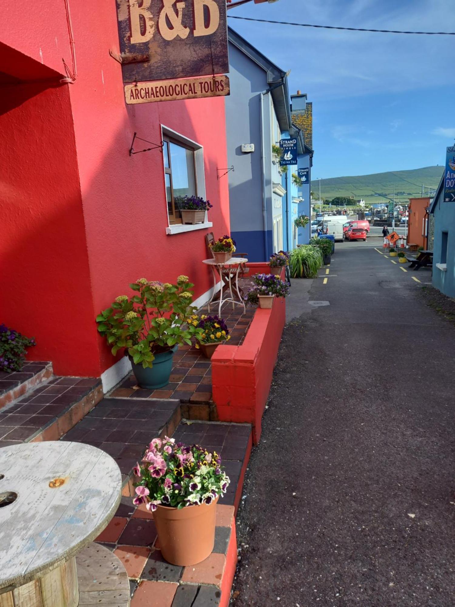 Baywatch Inn Dingle Kültér fotó